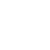 ICO-Ins1