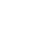 ICO-Ins2