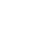 ICO-Ins3