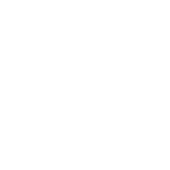 ICO-Ins4