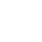 ICO-Ins5