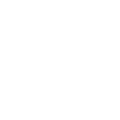 ICO-Lrn1